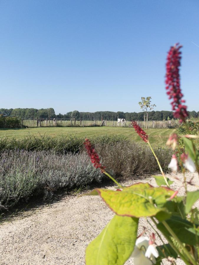 Het Veldhuis Beuningen  ภายนอก รูปภาพ