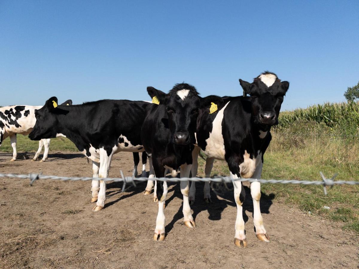 Het Veldhuis Beuningen  ภายนอก รูปภาพ